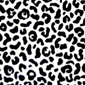 Meet your Posher, Bella